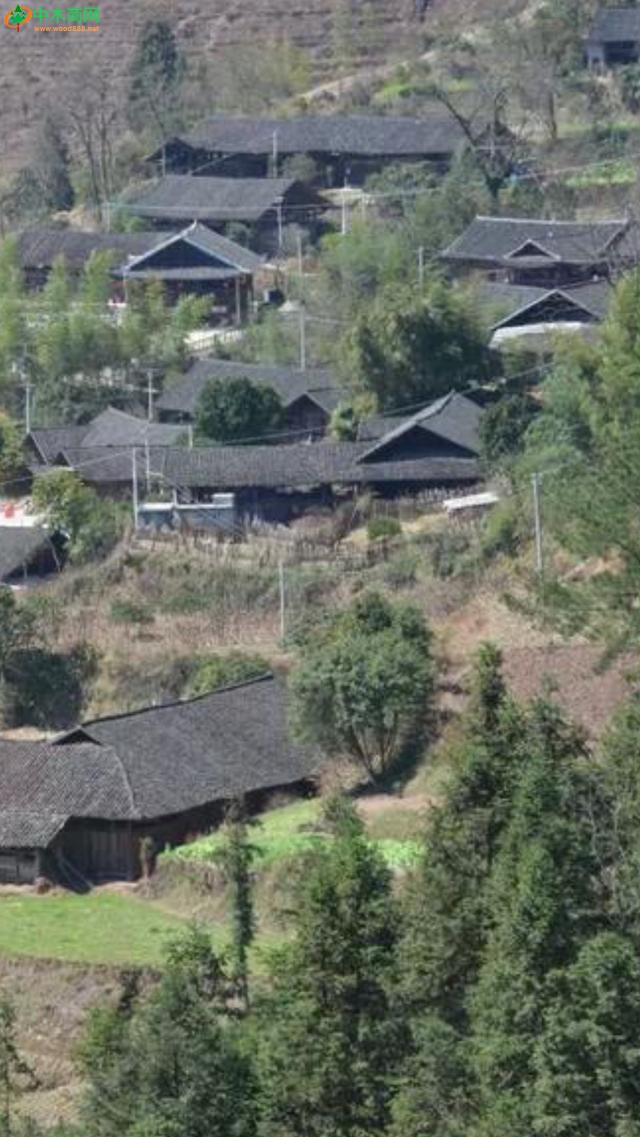 湖南省，龍山縣咱果鄉桐花寨