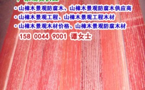 山樟木親水平臺木棧道-上海景緣優質供應