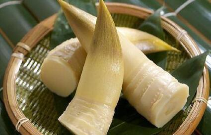 竹筍有什么營養價值呢？