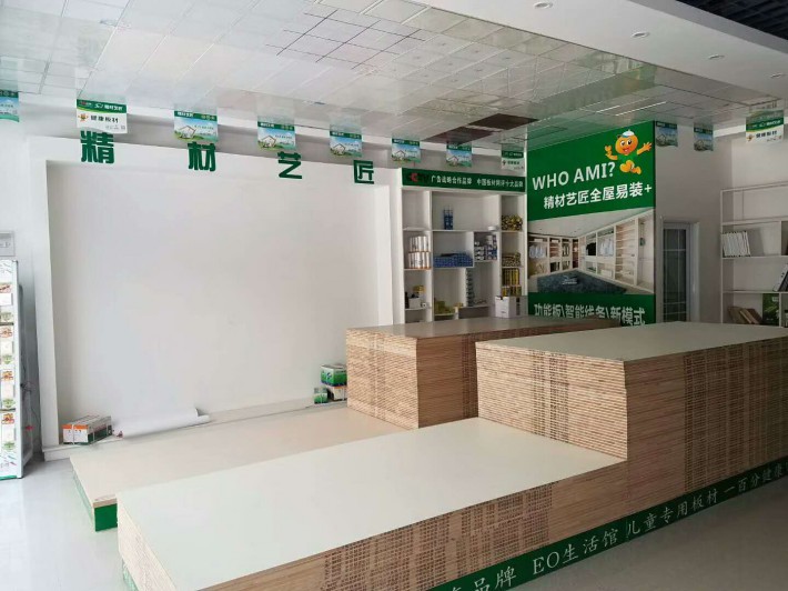 精材藝匠全屋易裝+，不僅意味著全屋全品類定制品牌