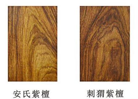“花梨”這個詞在我國的歷史原因