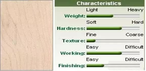 硬楓木(hard maple)