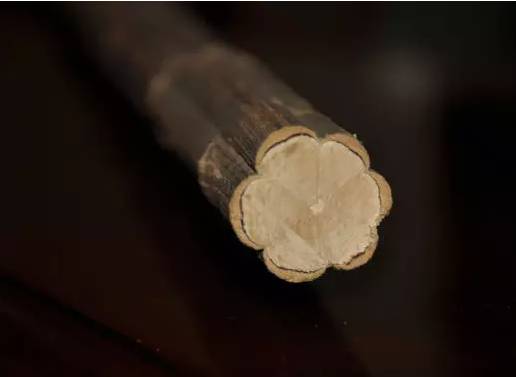 世間最樸素的六道木，卻有最珍貴的價值