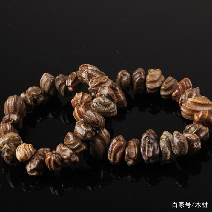 龍骨菩提子便于打理，整體風格內斂穩重，適合長期盤玩。