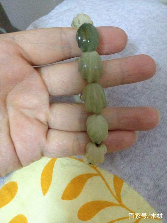 龍骨菩提子還是很好打理的