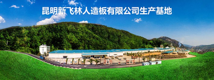 西南,成都,重慶,飛林12毫米健康環保家具板材,環保刨花板