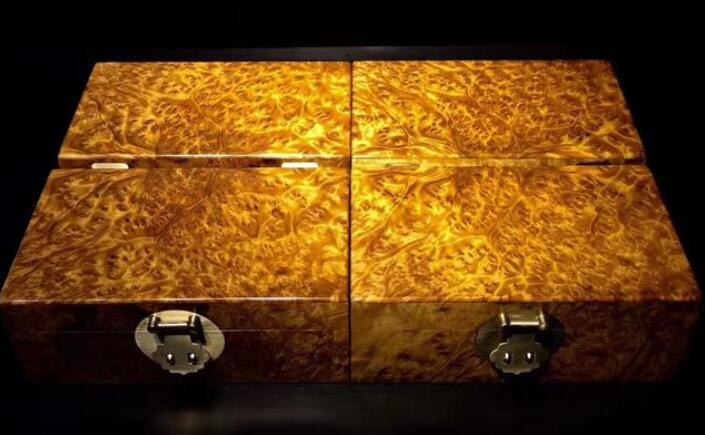 小葉金絲楠與黃金樟的如何區別？