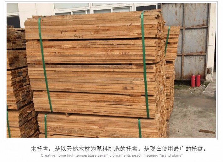 輻射松的生態適應性 輻射松對土壤有很強的適應能力