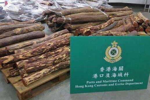 香港海關截獲5.7噸懷疑紫檀木材，市值約690萬元