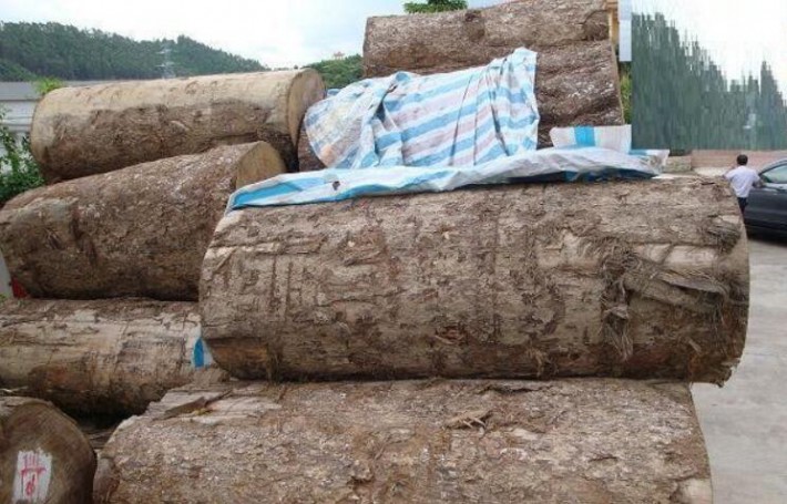 老撾全國已有1545家非法經營的小規模木材加工廠和企業關閉