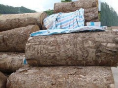 老撾全國已有1545家非法經(jīng)營的小規(guī)模木材加工廠和企業(yè)關(guān)閉