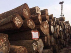 2017年加蓬木材產量同比增長10.1%