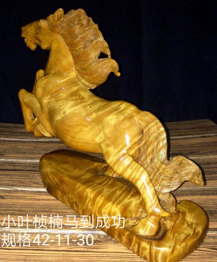 小葉楨楠馬到成功