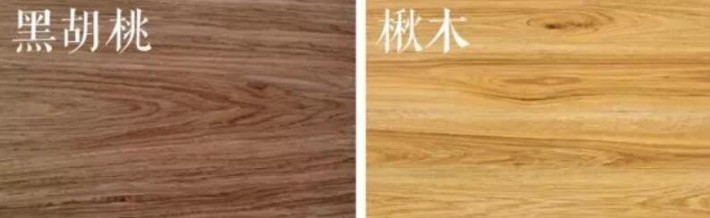 如何辨別黑胡桃與楸木