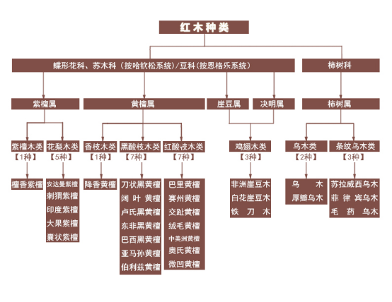 雞翅木屬于紅木嗎？