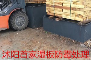 泗陽(yáng)木材加工廠家直銷楊木板枋材