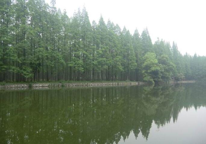 國家儲備林基地建設項目管理培訓班在貴州舉辦