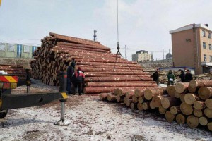 上半年俄羅斯布拉戈申維斯克關區木材出口22.02萬立方