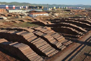 上半年遠東鐵路木材運輸量達248萬噸