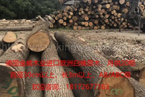 進口歐洲木材 橡木 白橡原木 可鋸切板材 實木木料