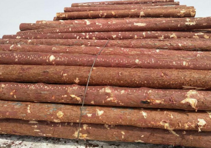 150多噸進(jìn)境木材貨證不符做退運(yùn)處理