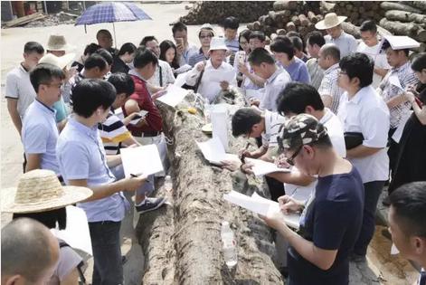 中國紅木商學院第四屆國（二級）木材檢驗師