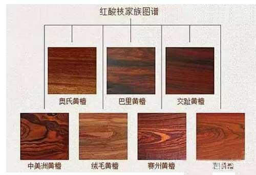 都是紅酸枝，如何區分交趾黃檀與微凹黃檀？
