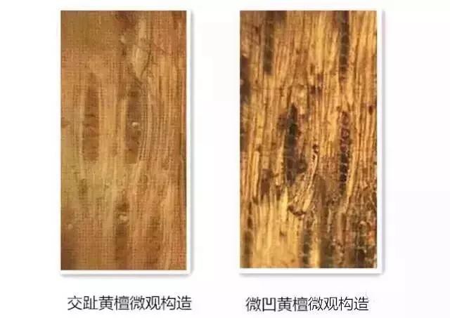 對交趾黃檀和微凹黃檀的識別鑒別