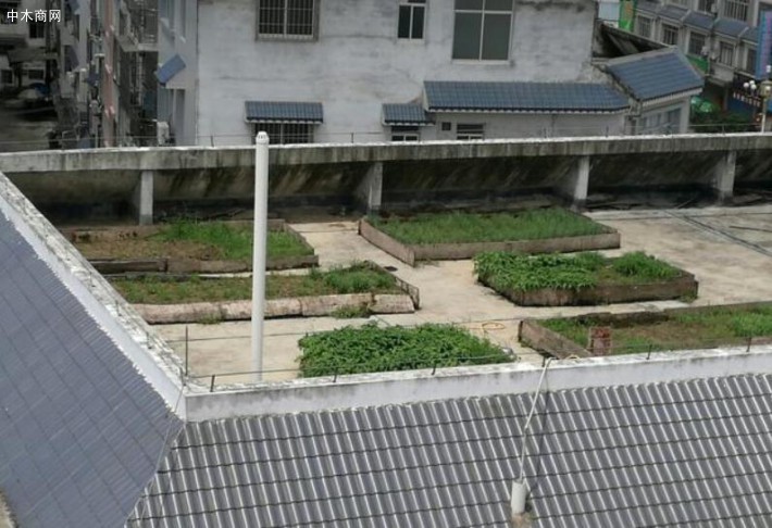 外國出現(xiàn)的一套新型的屋頂花園住宅