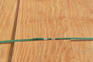 非洲菠蘿格的缺點及非洲菠蘿格價格是多少
