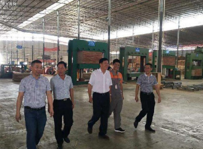 廣西政府副秘書長黃永忠到山圩產(chǎn)業(yè)園調(diào)研