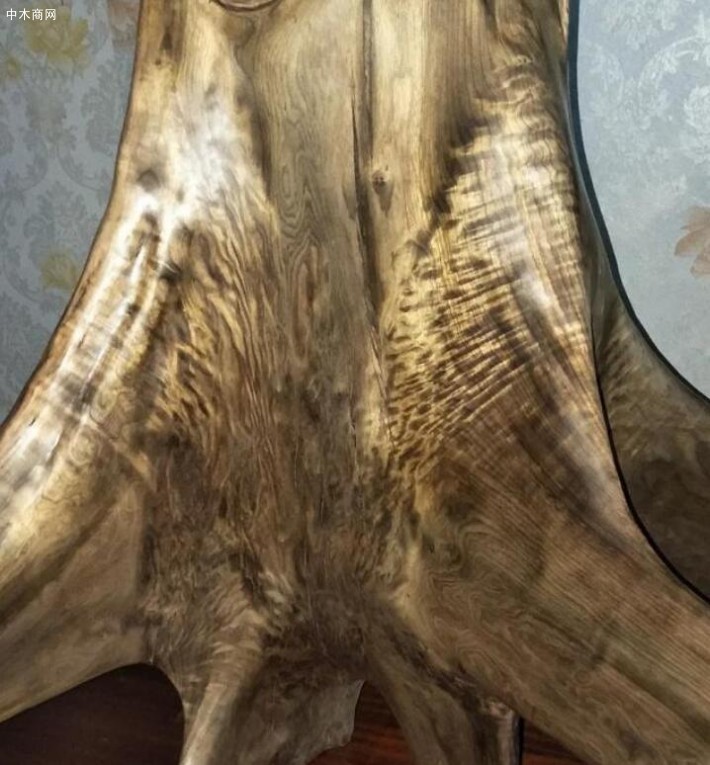金絲楠木哪里的比較好？