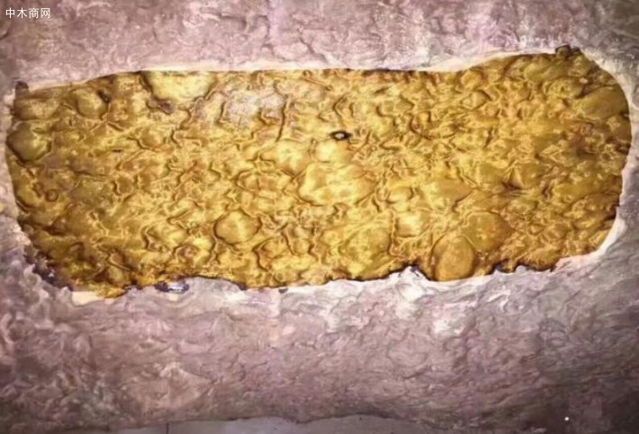 至于什么才是比較好的金絲楠