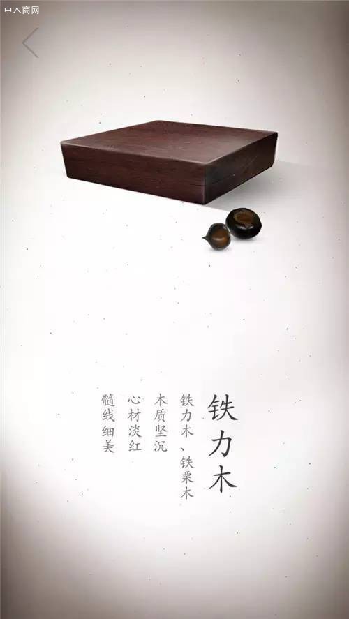 鐵力木：是木質最堅硬的一種樹，是特有的珍貴闊葉樹種