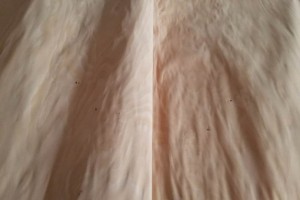 可定制 各種規(guī)格 厚度的櫸木木皮 貨源穩(wěn)定 長(zhǎng)期批發(fā)