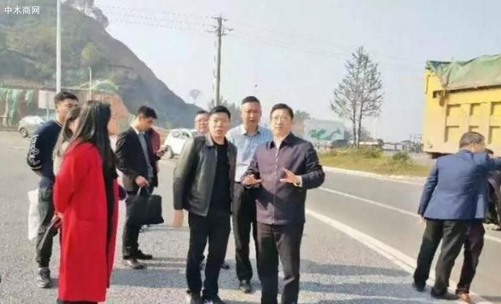  江西安源區領導檢查木材市場整改搬遷工作