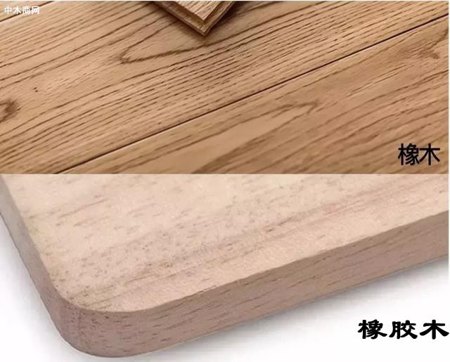 橡木（上）紋理清晰可見，橡膠木（下）紋理松散無規則