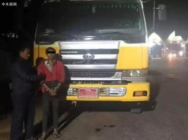 林業局與警方在搜查一輛油罐車時發現車內拖運著非法運輸的梨花木切割料