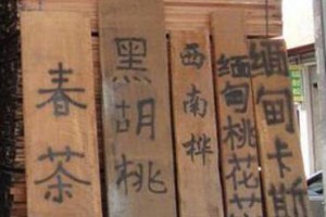 緬甸卡斯楠 緬甸桃花芯 西南樺 黑胡桃 春茶實木板材
