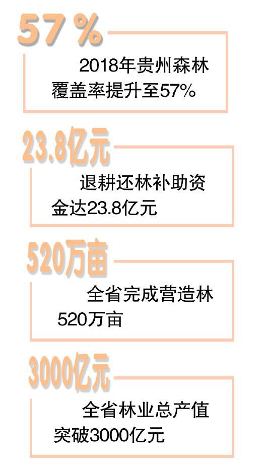 貴州省林業事業高質量發展邁上新臺階
