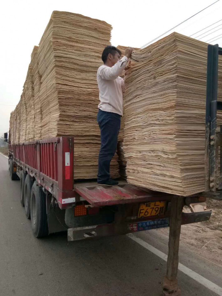 徐州楊木三拼廠家批發
