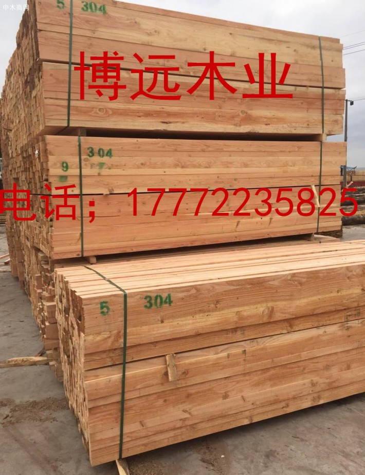 周口建筑方木供應商
