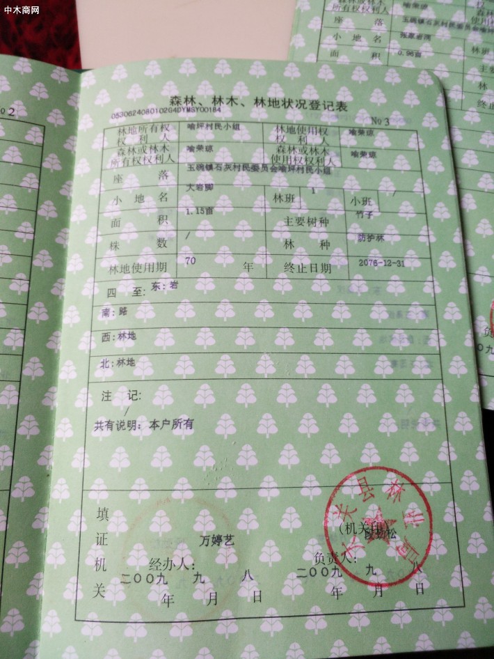 我處有3000立方杉木原木出售