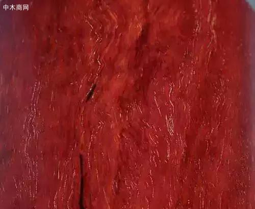 大S紋理和小S紋理有些料質非常細膩適合于雕刻