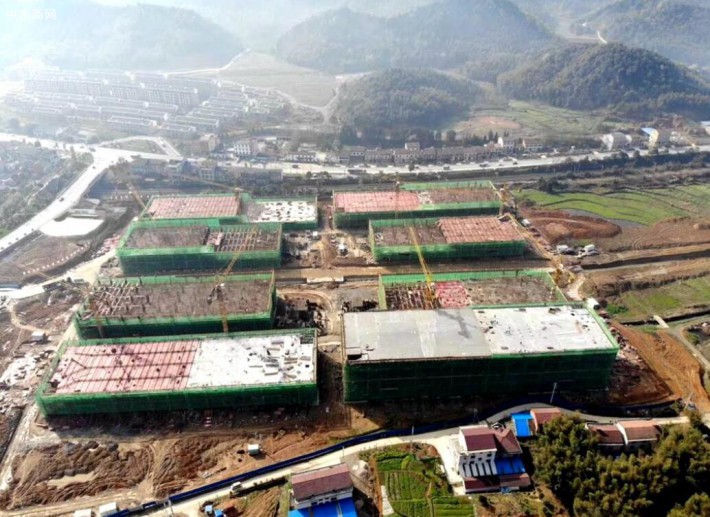  湖南羊樓司竹木產業園計劃總投資50億元