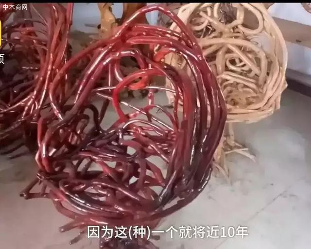 還要研究“種”多式家具
