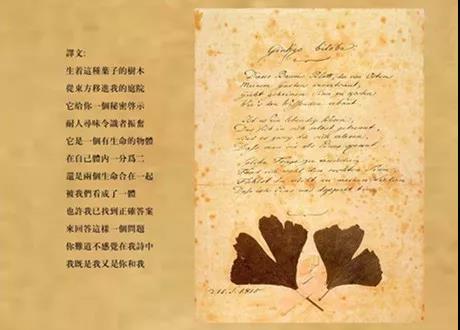 歌德情詩銀杏