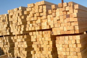 新鄉建筑木方工程木方多少錢一方