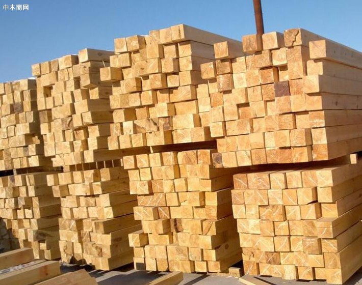 新鄉建筑木方工程木方多少錢一方