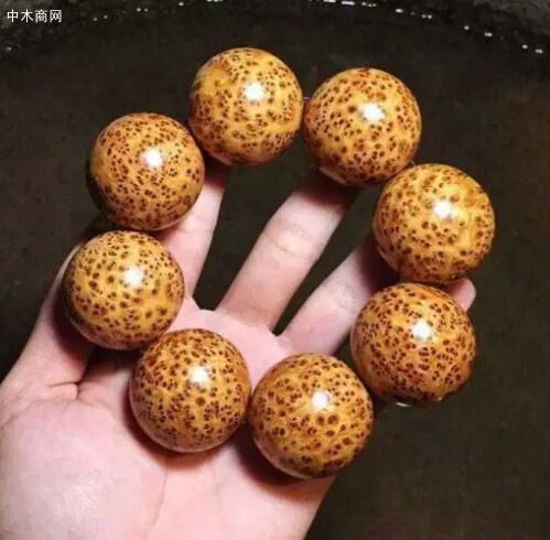手串樣品